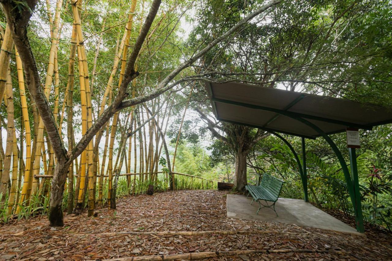 Altavista Casahotel - Asociado Casa Andina Moyobamba Exteriör bild