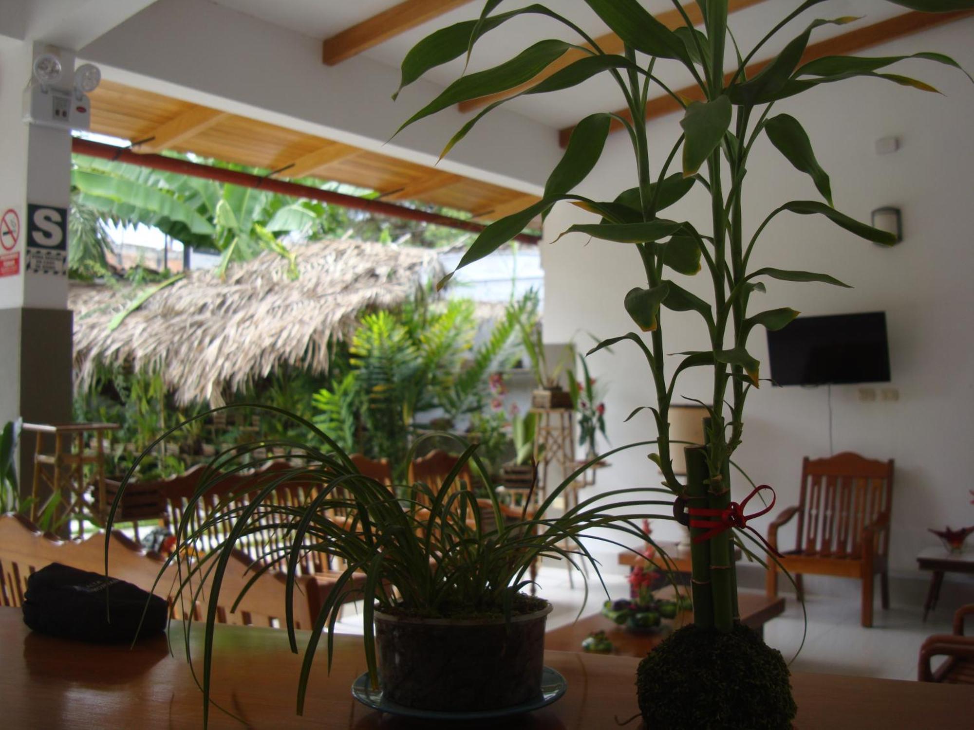 Altavista Casahotel - Asociado Casa Andina Moyobamba Exteriör bild